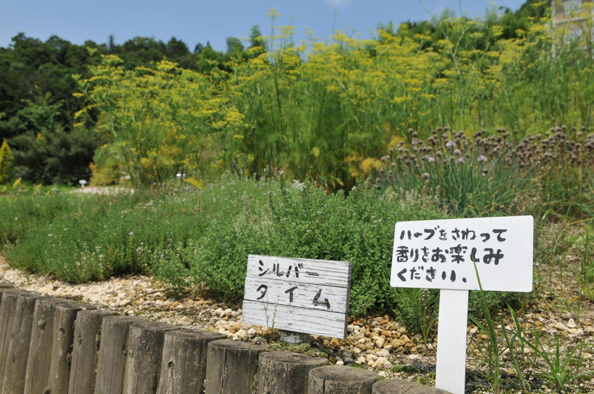 Hashidate Bay Hotel Yosano Esterno foto